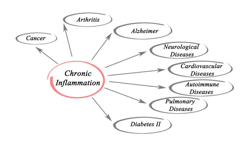 Chronic Inflammation diagram pointing to other diseases.